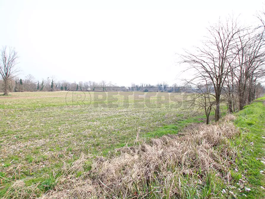 Immagine 10 di Terreno agricolo in vendita  a Villaverla