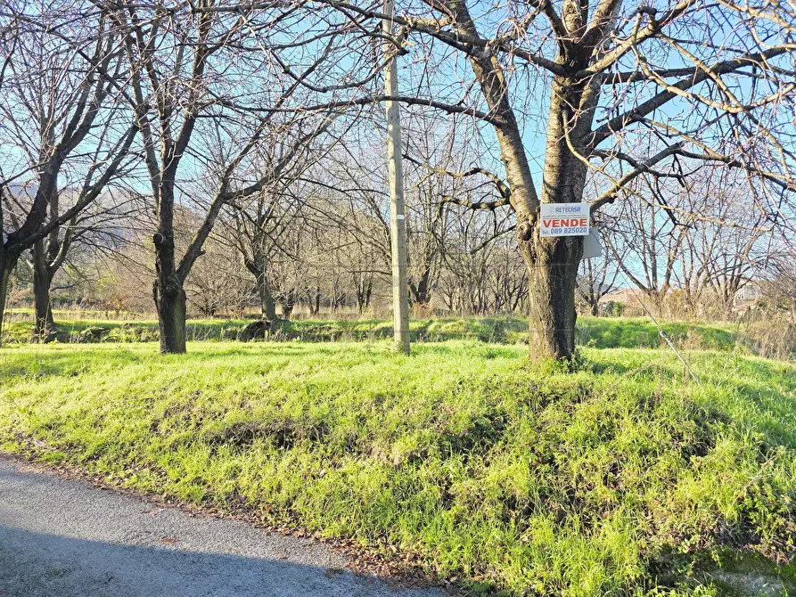 Immagine 8 di Terreno industriale in vendita  a Mercato San Severino
