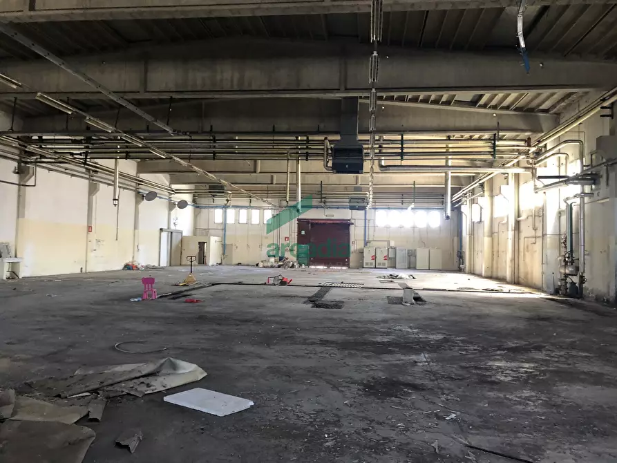 Immagine 4 di Attività artigianale in affitto  in SP231 a Bitonto