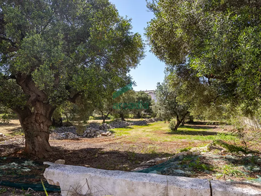 Immagine 33 di Rustico / casale in vendita  in Via Teano 58 a Fasano