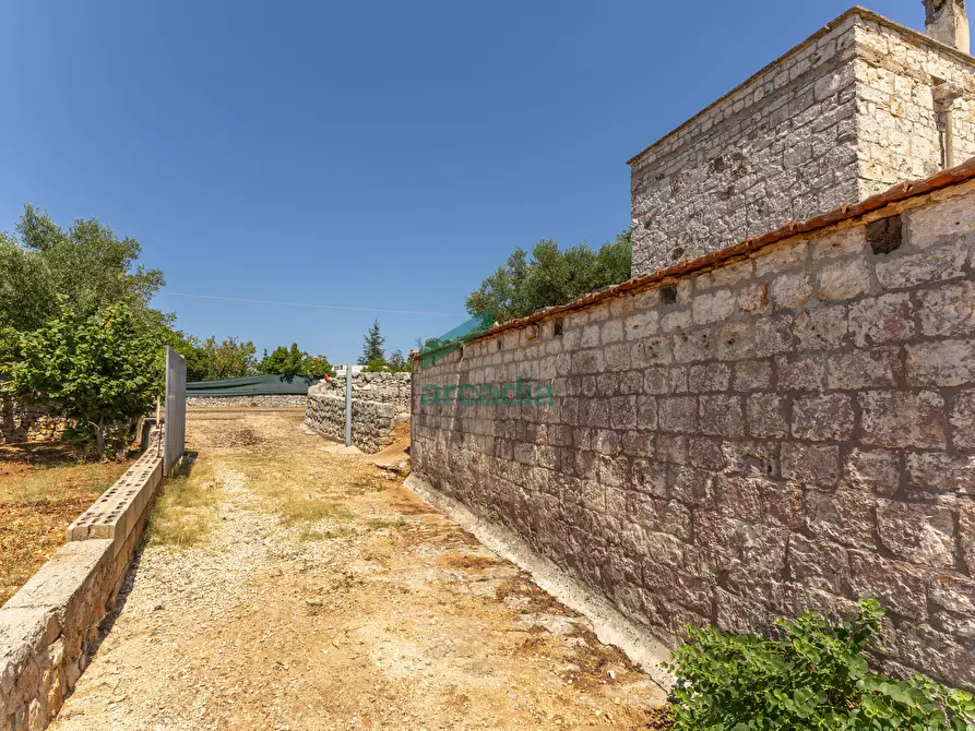 Immagine 3 di Rustico / casale in vendita  in SP32 68 a Putignano