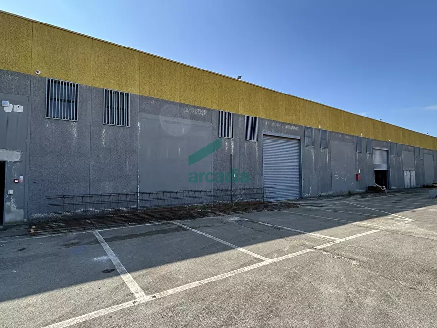 Immagine 19 di Attività artigianale in affitto  in SP231 98 a Terlizzi