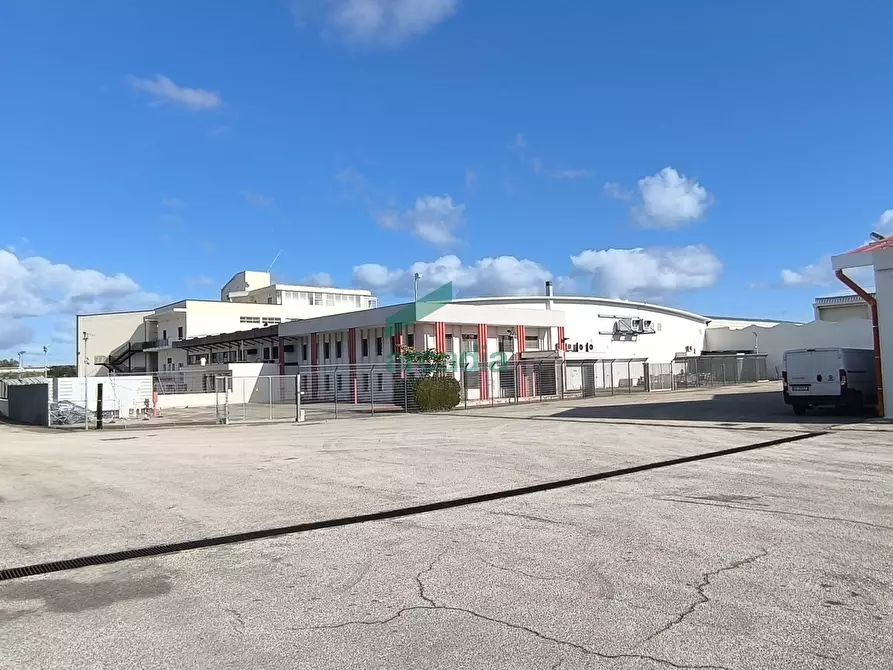 Immagine 26 di Attività artigianale in affitto  in S.S. 16 km 810,800 SN a Triggiano