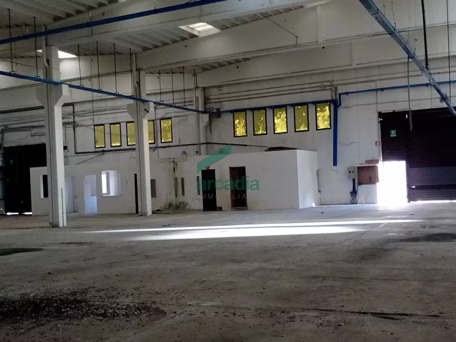 Immagine 7 di Attività artigianale in affitto  in SP231 KM 0,800 a Modugno