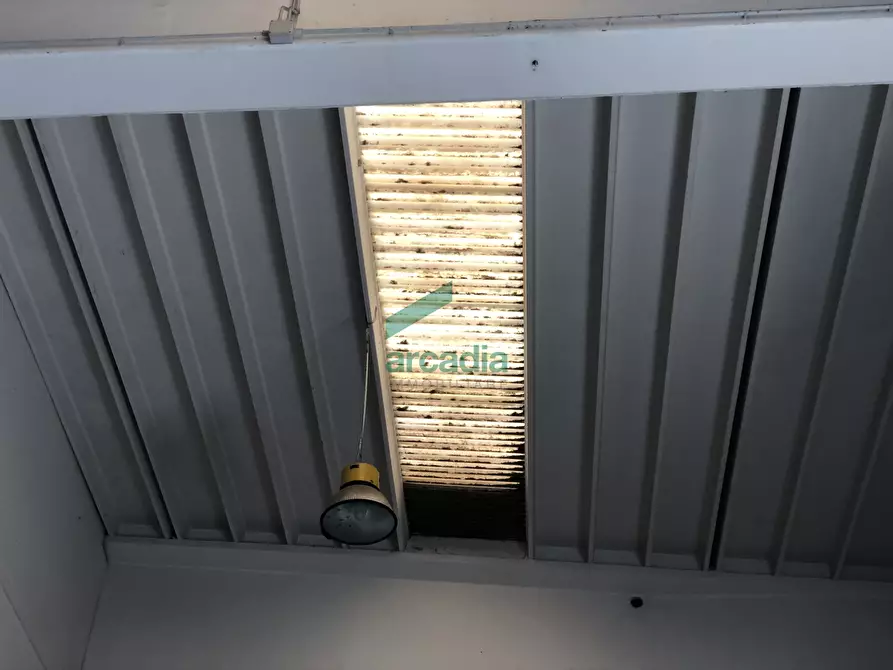 Immagine 7 di Attività artigianale in affitto  in SP231 KM 3,800 a Bitonto