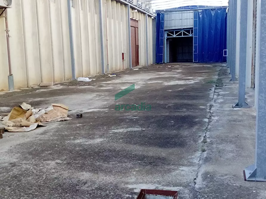 Immagine 5 di Attività artigianale in affitto  in SP231 KM 3,800 a Bitonto