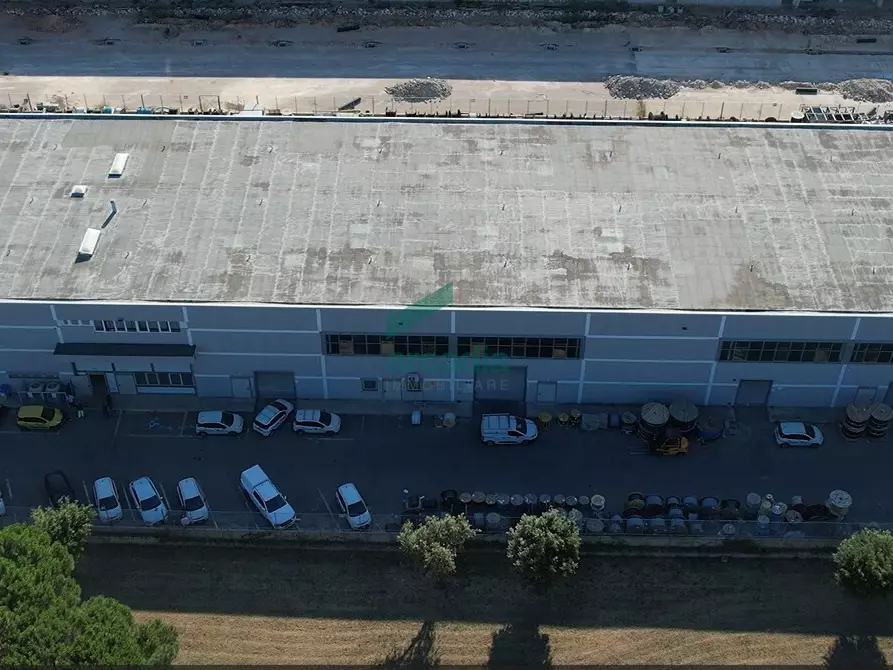 Immagine 3 di Attività artigianale in vendita  in Via delle Violette 10 a Modugno