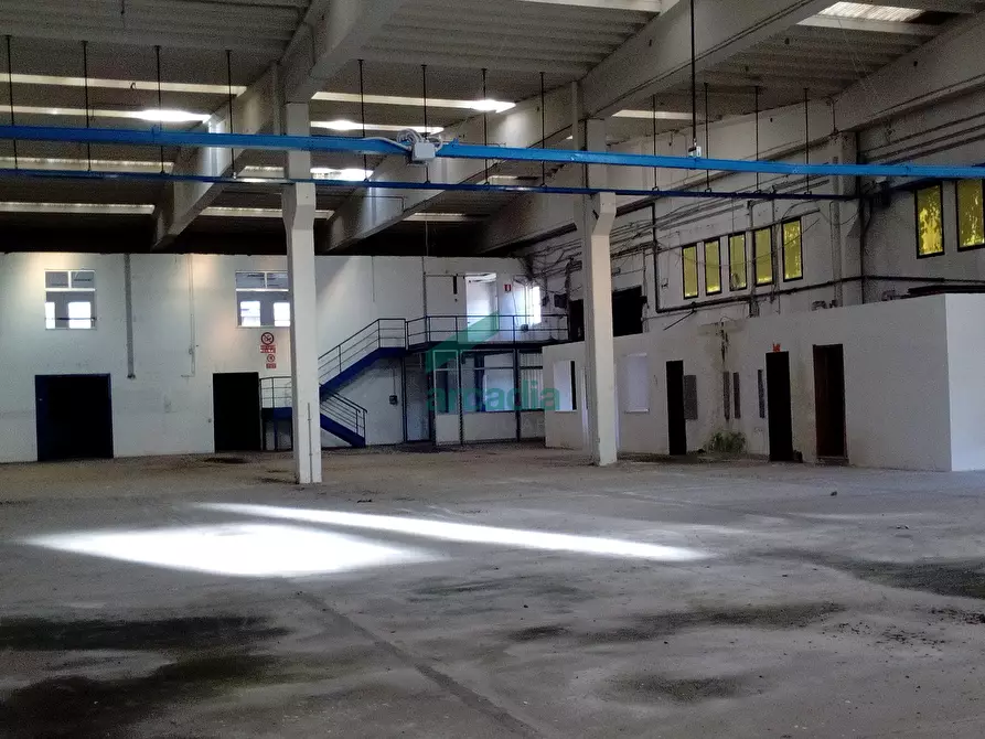 Immagine 5 di Attività artigianale in affitto  in SP231 KM 0,800 a Modugno