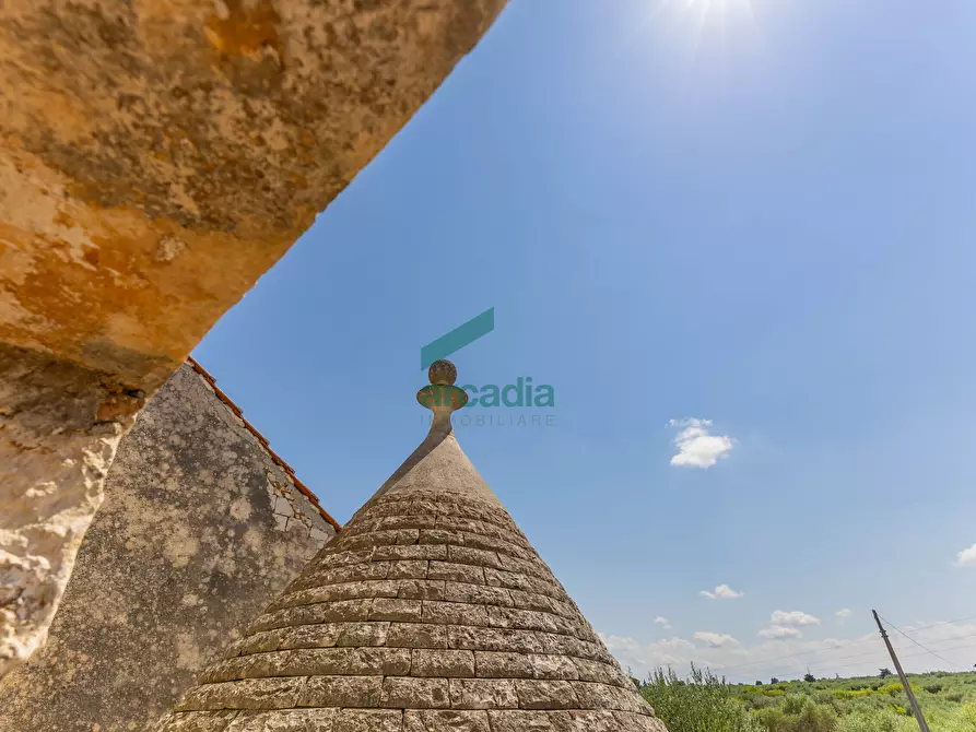 Immagine 37 di Rustico / casale in vendita  in SP32 68 a Putignano
