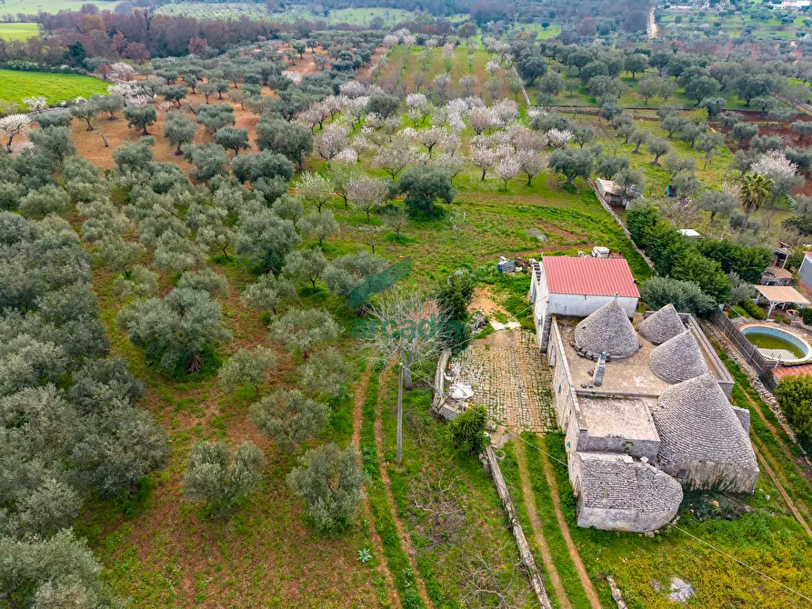 Immagine 30 di Rustico / casale in vendita  in Contrada Terranova a Monopoli