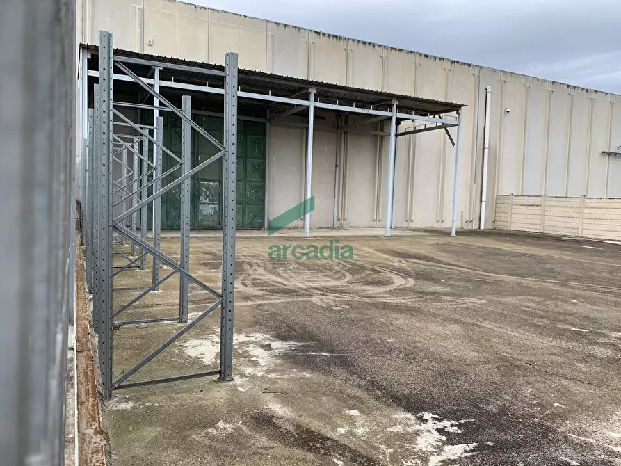 Immagine 11 di Attività artigianale in vendita  in Via dei Gladioli 6 a Modugno