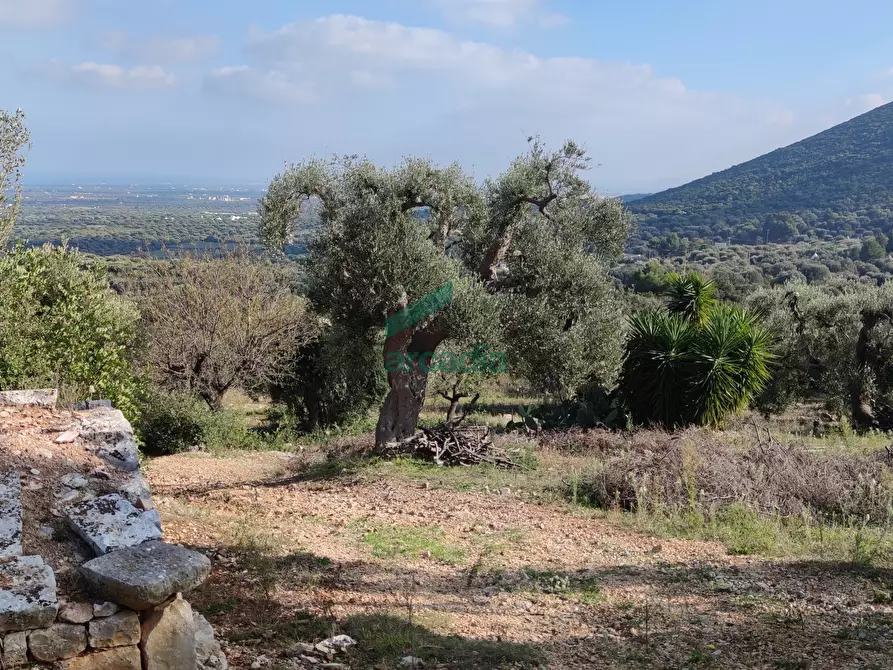 Immagine 10 di Rustico / casale in vendita  in Contrada Torchiano a Monopoli