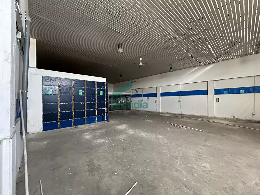 Immagine 6 di Attività artigianale in vendita  in Strada Rurale Mammagnora 3 a Bari