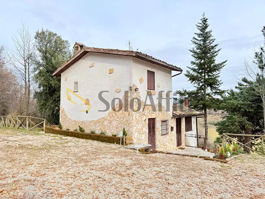 Immagine 20 di Casa indipendente in affitto  in via della fornace Snc a Colledara