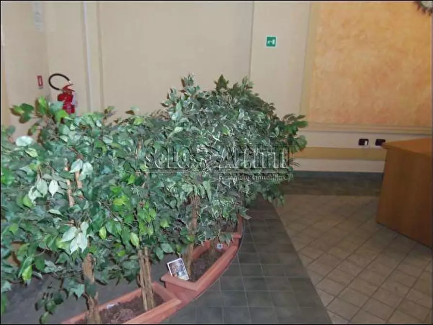 Immagine 15 di Bilocale in affitto  in via Brione a Torino