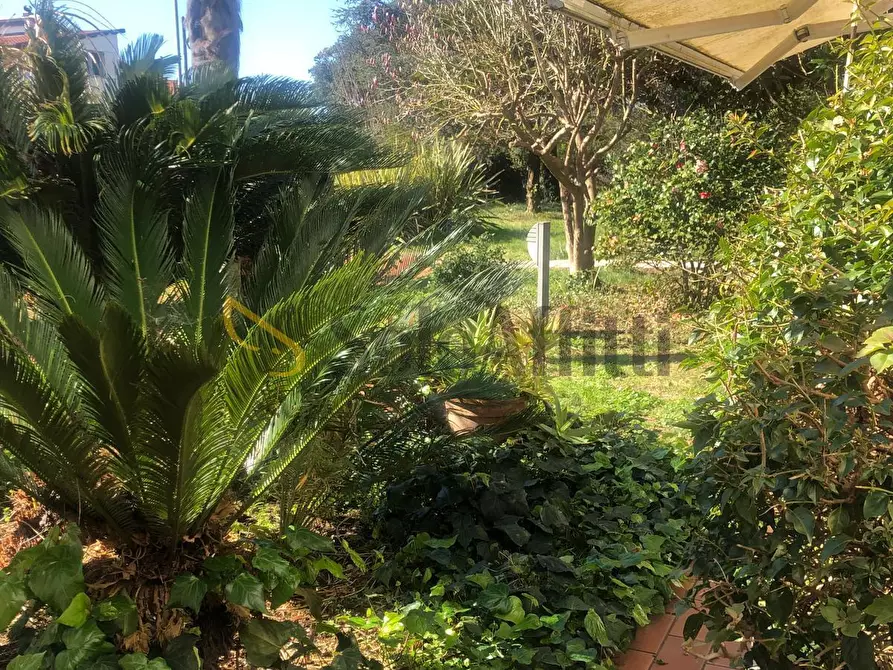 Immagine 18 di Loft/Open space in affitto  a Latina