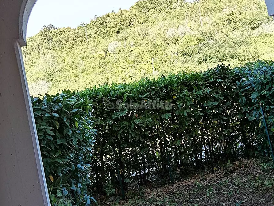 Immagine 13 di Bilocale in affitto  in via parri 155 a Rosignano Marittimo