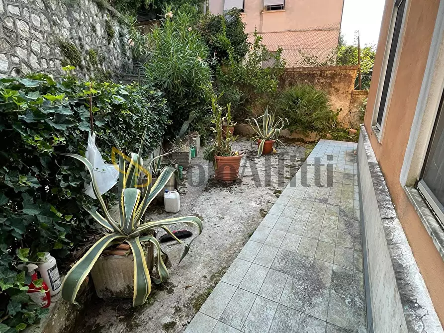 Immagine 14 di Bilocale in affitto  in Via del Cipresso 51 a Frosinone