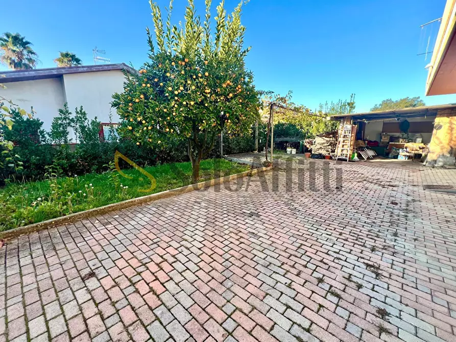 Immagine 7 di Trilocale in affitto  in Via Ombrone 7 a Tortoreto