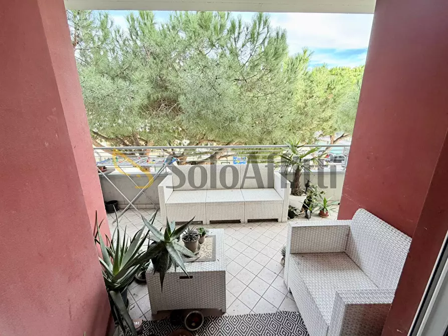 Immagine 21 di Trilocale in affitto  in Via Nazionale 518 a Roseto Degli Abruzzi