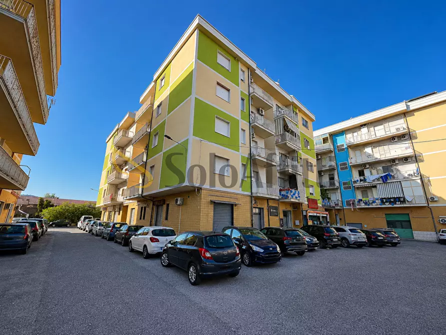 Immagine 14 di Trilocale in affitto  a Catanzaro