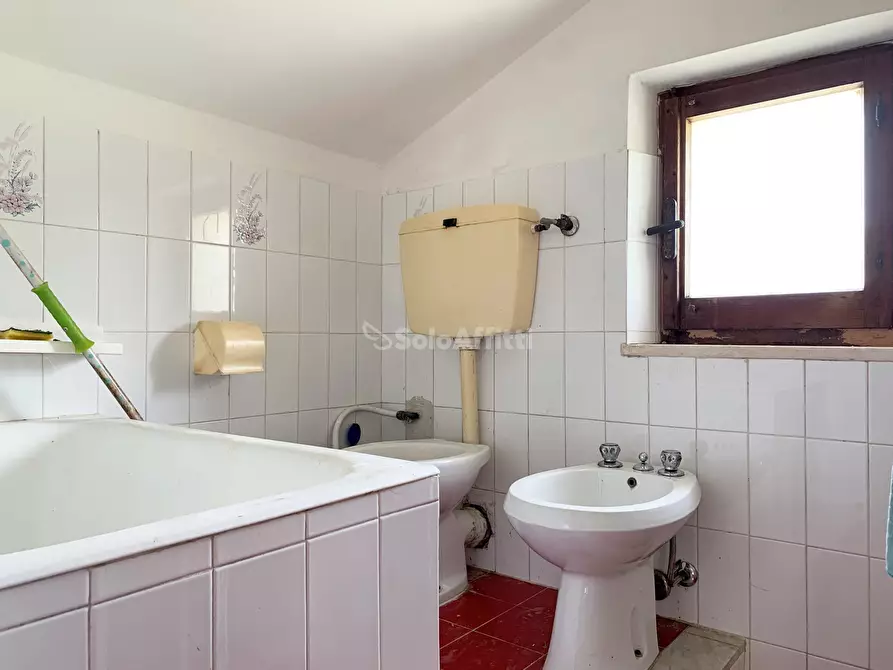 Immagine 5 di Monolocale in affitto  a Catanzaro