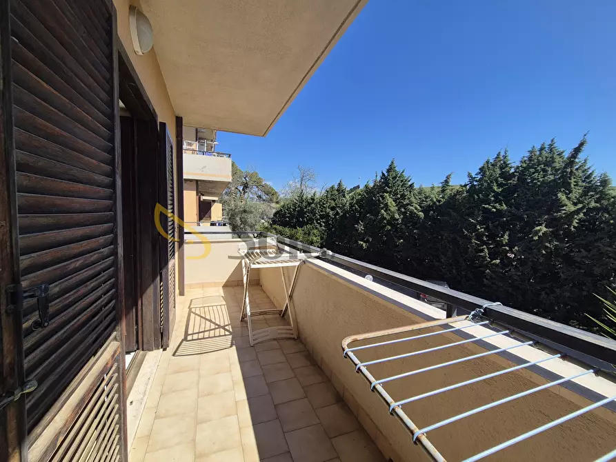 Immagine 14 di Quadrilocale in affitto  in Via dei Conti Falluc 126 a Catanzaro