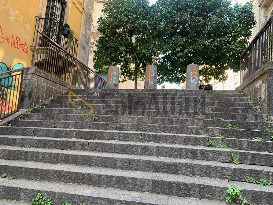Immagine 41 di Bilocale in affitto  in Salita San Camillo 33 a Catania