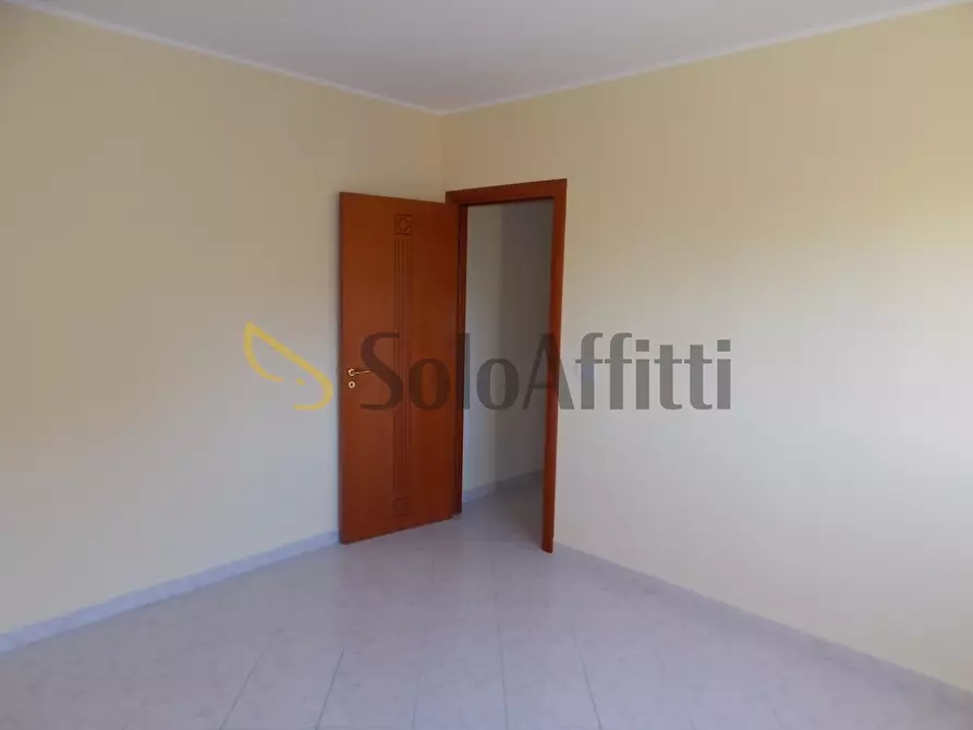 Immagine 9 di Trilocale in affitto  a Catanzaro