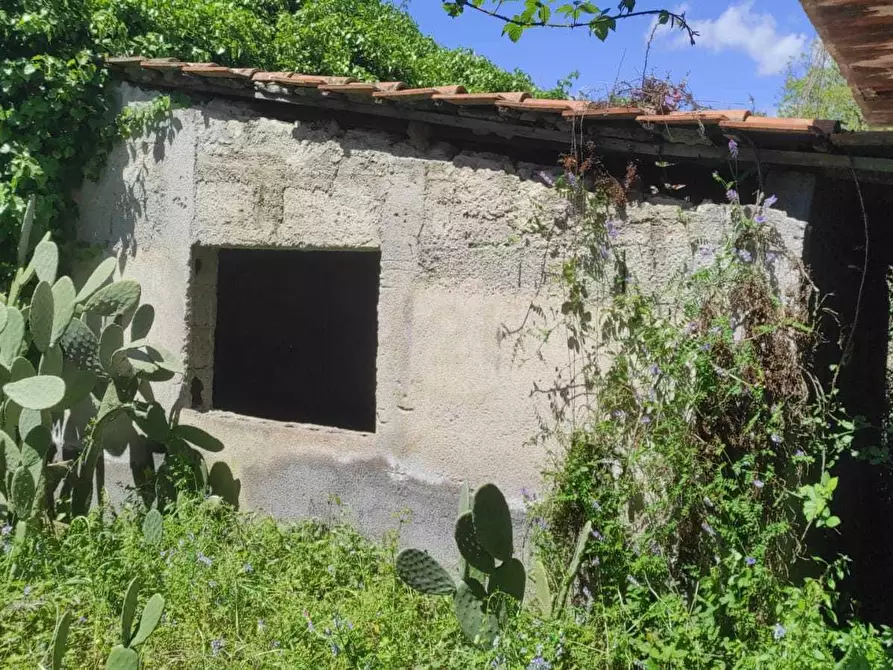 Immagine 2 di Villa in vendita  a Mascalucia