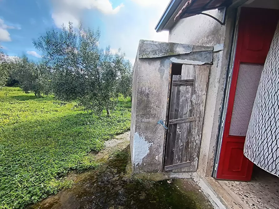 Immagine 3 di Terreno agricolo in vendita  in GRV6+27 Paternò, Città metropolitana di Catania a Paterno'