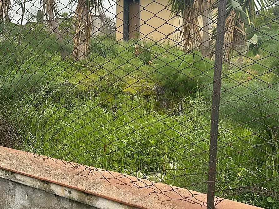 Immagine 9 di Terreno agricolo in vendita  a San Pietro Clarenza