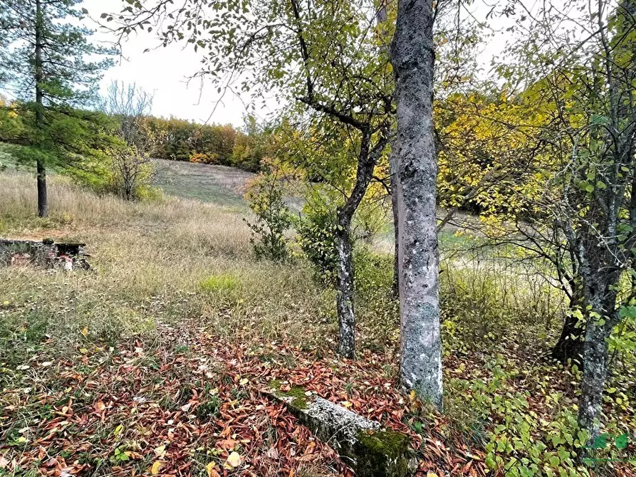 Immagine 15 di Rustico / casale in vendita  in pessola casa gasparone 81 a Varsi