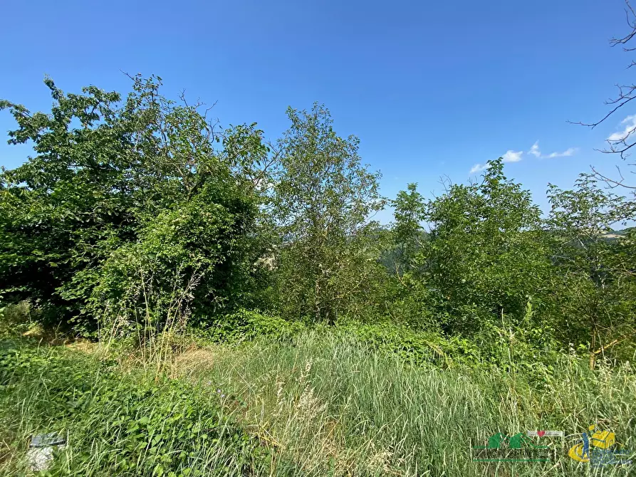 Immagine 5 di Terratetto in vendita  in SP54 109 a Medesano