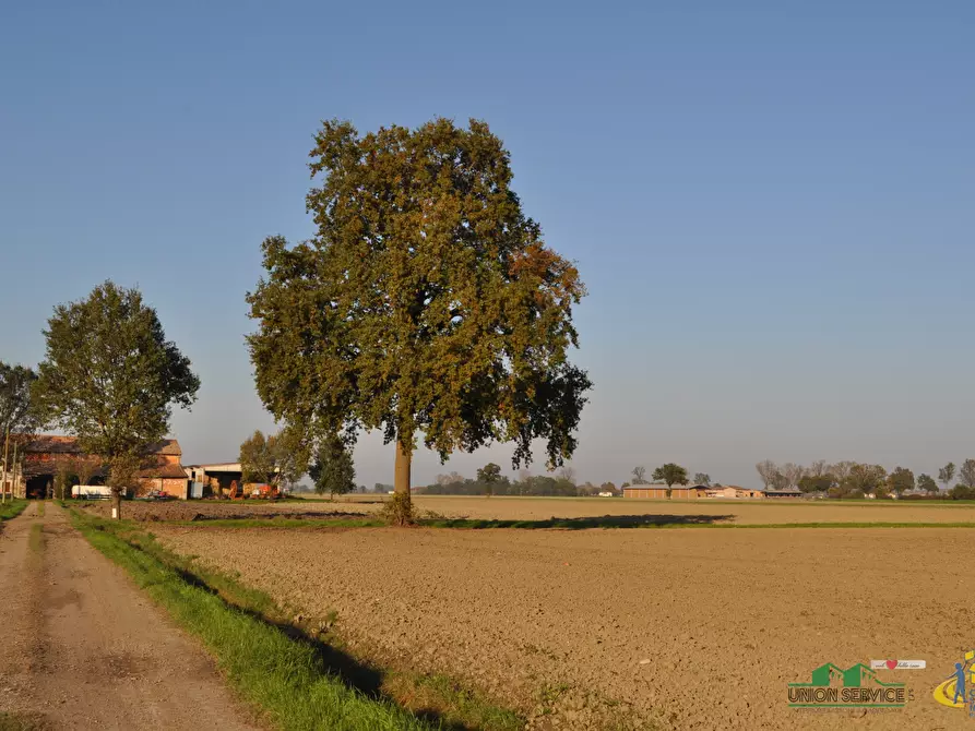 Immagine 22 di Terreno agricolo in vendita  in via SAN ROCCO snc a Parma