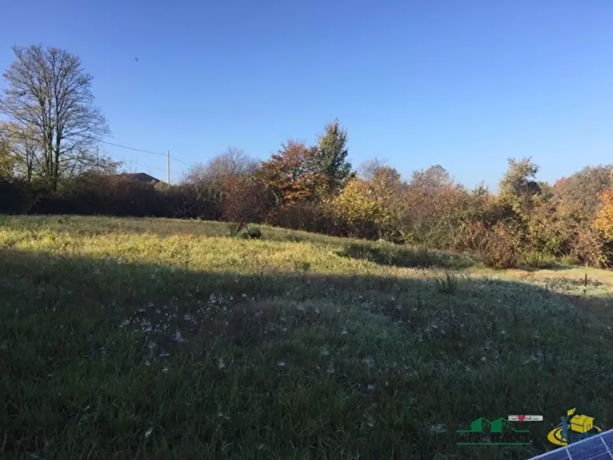 Immagine 5 di Terreno agricolo in vendita  in loc. Bezzo Bellini a Medesano