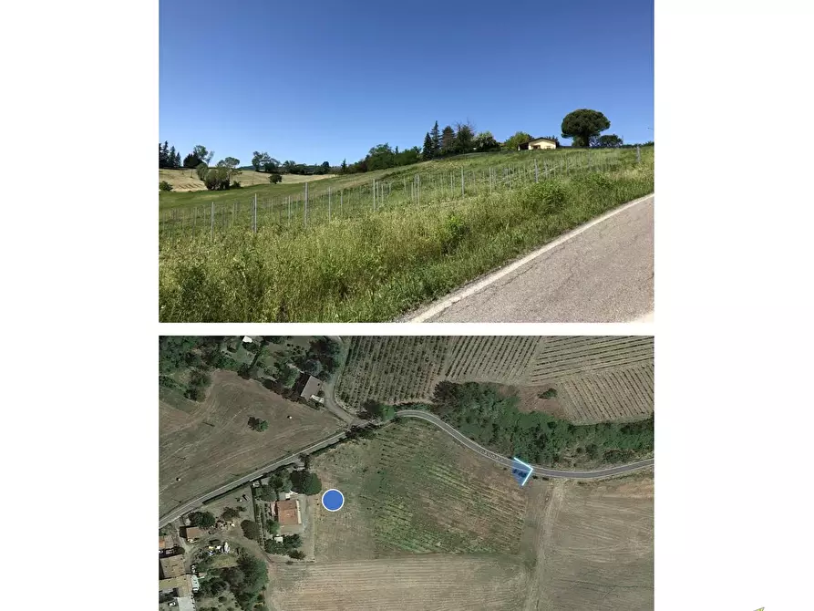 Immagine 8 di Terreno edificabile in vendita  in Via Vidiana 24 a Langhirano