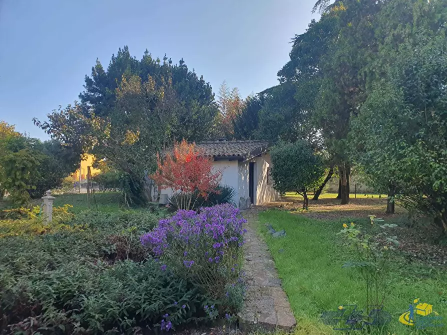 Immagine 8 di Terratetto in vendita  in VIA CAVAILLON 7 a Langhirano