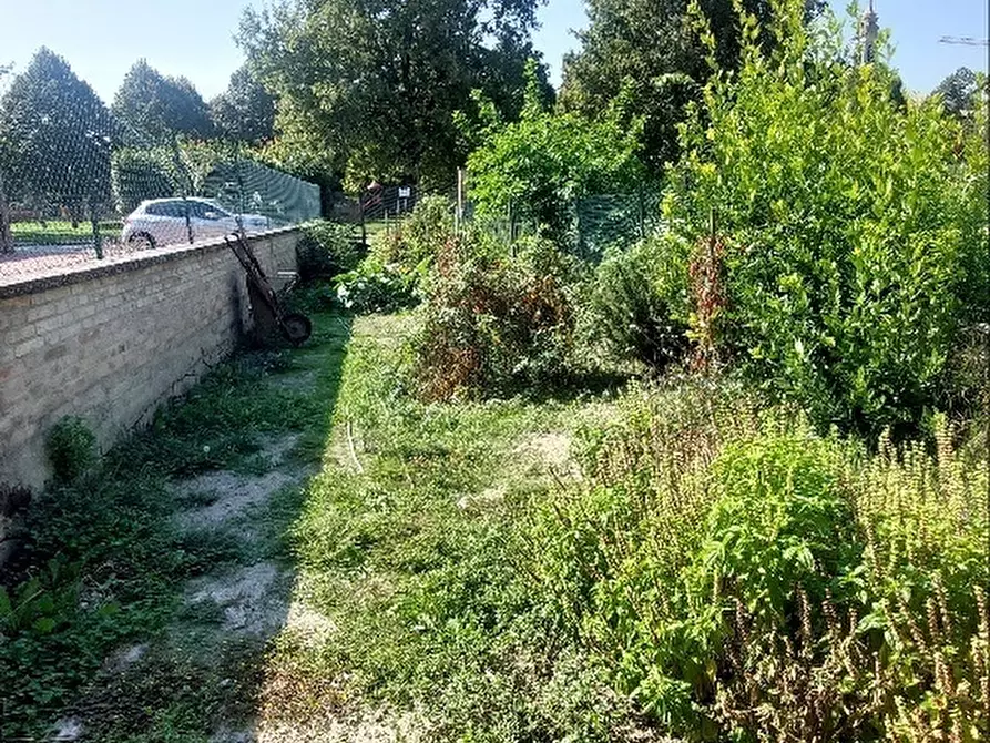 Immagine 12 di Terratetto in vendita  a Soragna