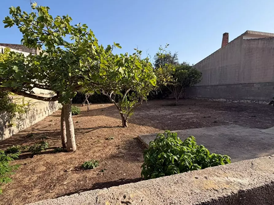 Immagine 17 di Villa in vendita  in Via dell'Alloro 121 a Ispica