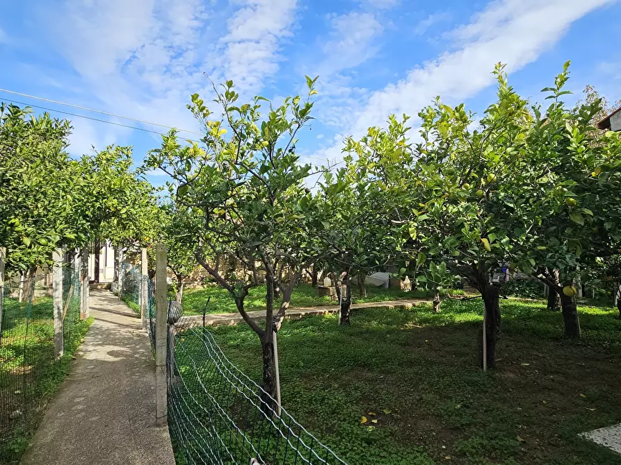 Immagine 3 di Villa in vendita  in Via Selene 27 a Modica