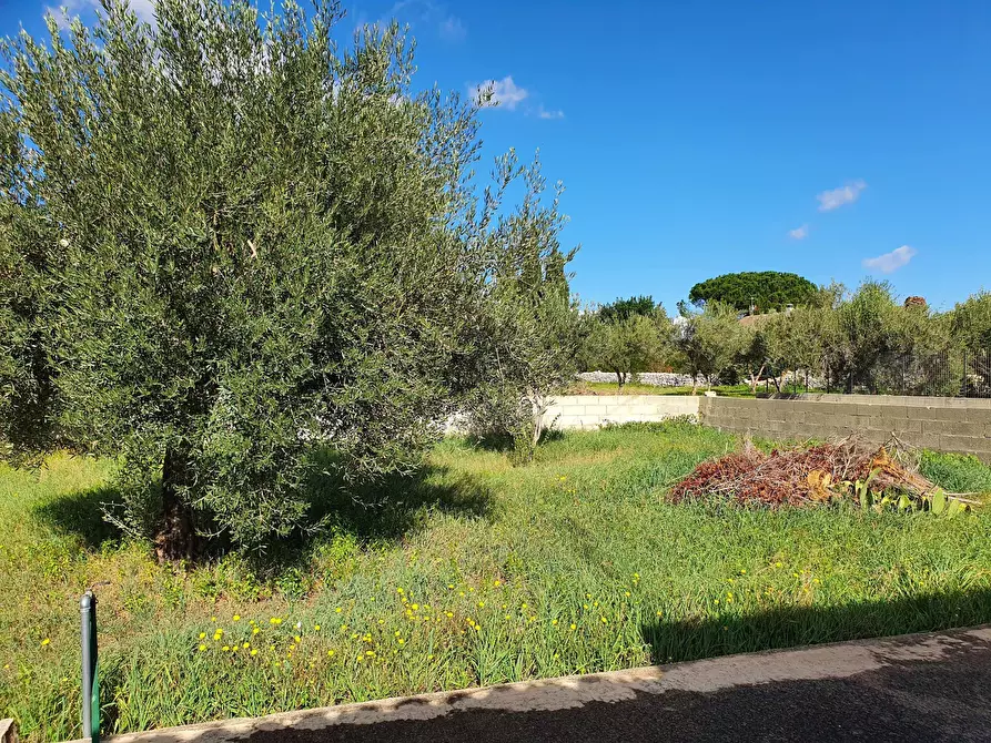 Immagine 22 di Villa in vendita  a Modica