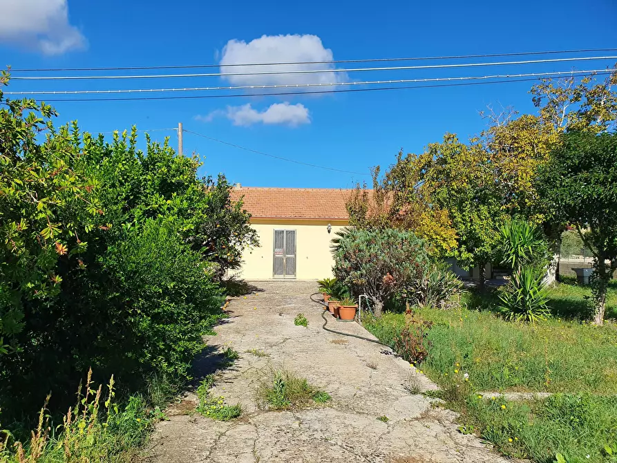 Immagine 18 di Villa in vendita  a Modica