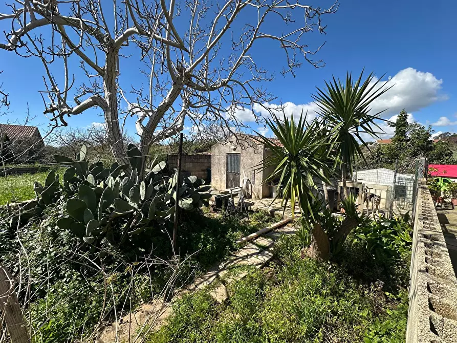 Immagine 6 di Villa in vendita  in Via Vanella 26 9 bis a Modica