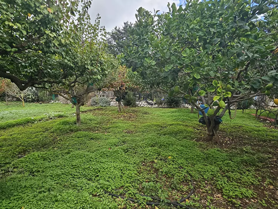 Immagine 14 di Villa in vendita  in Via San Giuliano San Elena 22 a Modica