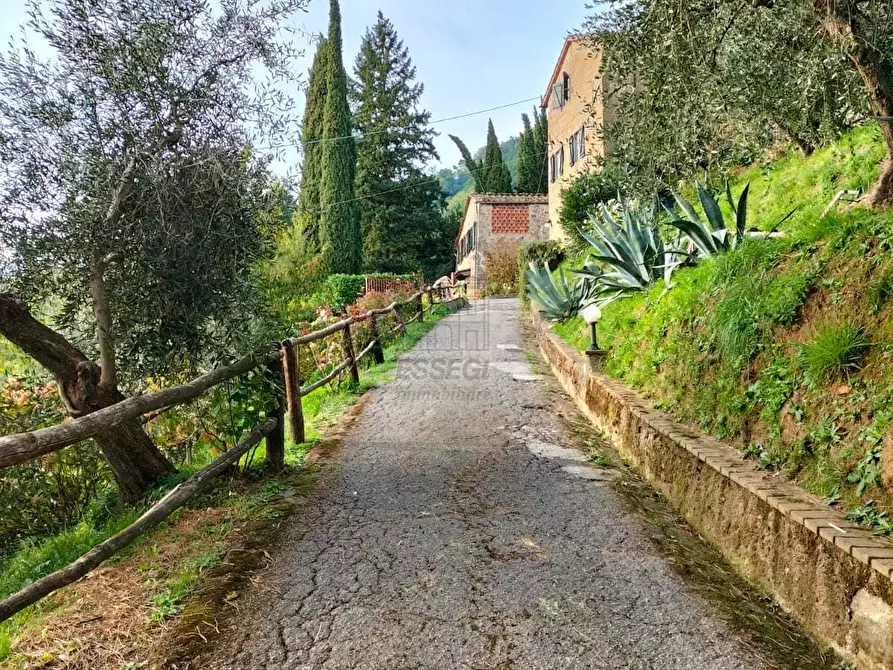 Immagine 57 di Rustico / casale in vendita  a Capannori