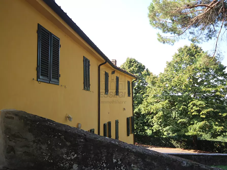 Immagine 17 di Azienda agricola in vendita  in Via Tofori a Capannori