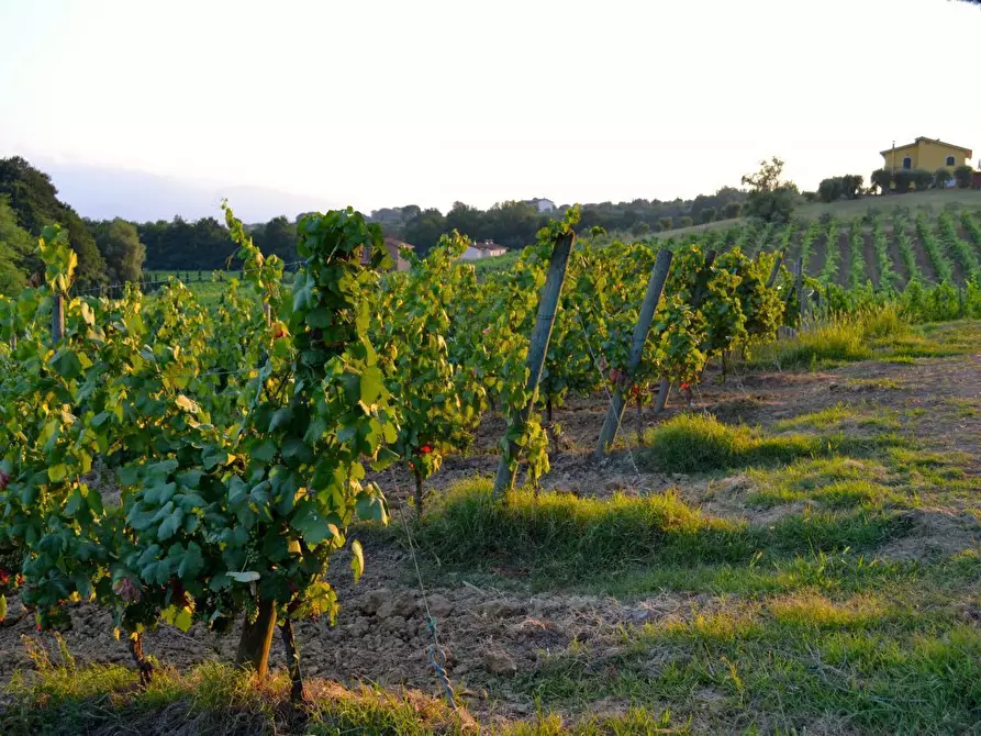 Immagine 6 di Rustico / casale in vendita  in via di san martino a Lucca