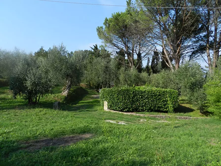Immagine 17 di Rustico / casale in vendita  in Via di Villa Gaia 508 a Lucca
