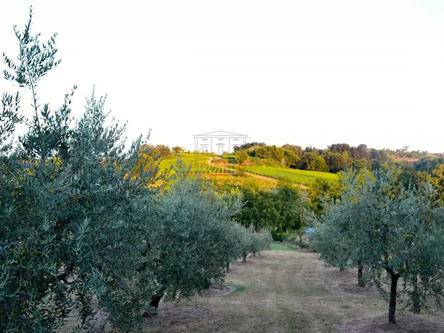 Immagine 16 di Rustico / casale in vendita  in via di san martino a Lucca